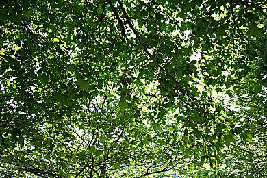 ATLUS将于本周举行《暗喻幻想》周年纪念直播活动